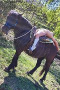 Foto Tentazioni Hot Escort Chiavari Karyna - 35