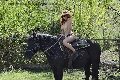Foto Tentazioni Hot Escort Chiavari Karyna - 34