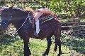 Foto Tentazioni Hot Escort Chiavari Karyna - 37