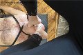 Foto Tentazioni Hot Mistress Cuneo Julia - 12