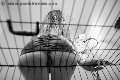 Foto Tentazioni Hot Mistress Verona Lady Giuliette - 13