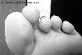 Foto Tentazioni Hot Mistress Vicenza Madame Jacqueline Domina - 46