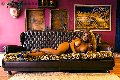 Foto Tentazioni Hot Trans Brescia Jessica Aryani - 17