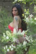 Foto Tentazioni Hot Trans Cinisello Balsamo Angell - 1