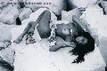 Foto Tentazioni Hot Trans Milano Sabrina Hemolly - 83