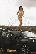 Foto Tentazioni Hot Trans Modena Vanessa Hilton - 112
