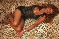 Foto Tentazioni Hot Trans Olbia Liss Xxl - 16