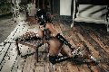 Foto Tentazioni Hot Trans Padova Campbell - 228