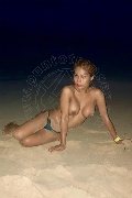 Foto Tentazioni Hot Trans Pescara Liisa Asiatica Ladyboy - 474