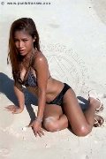 Foto Tentazioni Hot Trans Pescara Liisa Asiatica Ladyboy - 462
