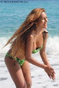 Foto Tentazioni Hot Trans Pescara Liisa Asiatica Ladyboy - 391