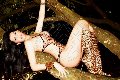 Foto Tentazioni Hot Trans Roma Raphaella Ferrari Pornostar - 161