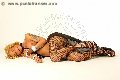 Foto Tentazioni Hot Trans Roma Robby - 14