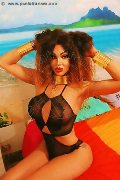 Foto Tentazioni Hot Trans Roma Rosa Xxxl - 15