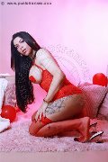Foto Tentazioni Hot Trans Torino Sophie Vergara - 1