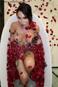 Foto Tentazioni Hot Trans Torre Del Lago Puccini Pamy - 18