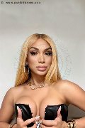 Foto Tentazioni Hot Transescort Milano Angel Bunny - 21