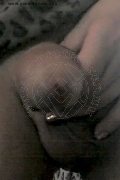 Foto Hot Tentazioni Hot Trans Cassano Delle Murge Monique - 28