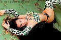Foto Tentazioni Hot Trans Giussano Bella Solare - 23