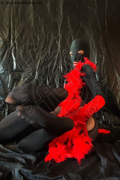 Foto Tentazioni Hot Escort Tiny Mouse 3284690312